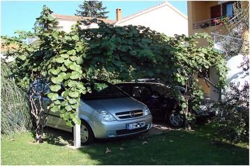 Alojamiento en casa particular Biograd na Moru 3